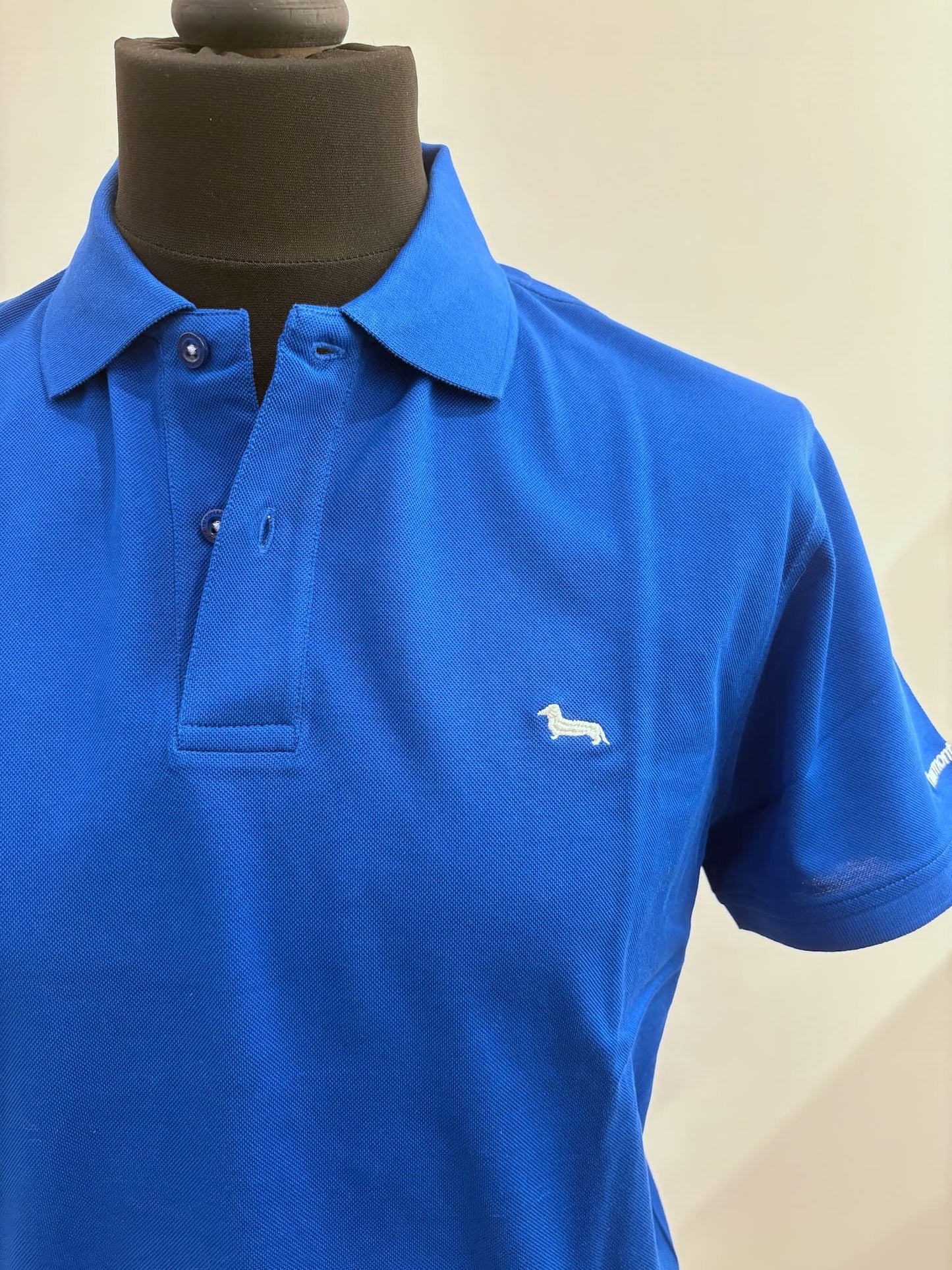 Polo basic Harmont & Blaine