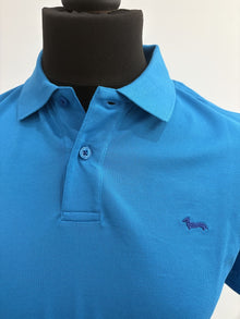 Polo basic Harmont & Blaine