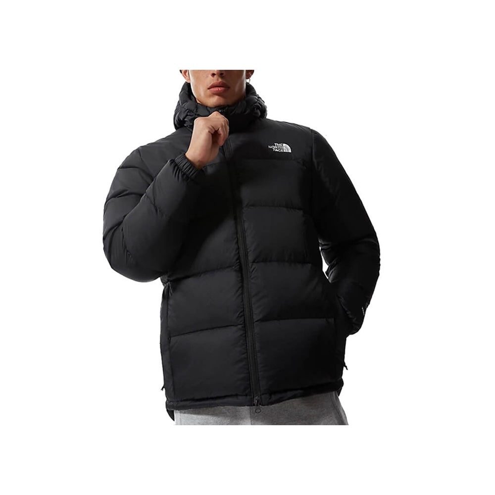 Giubbotto The North Face